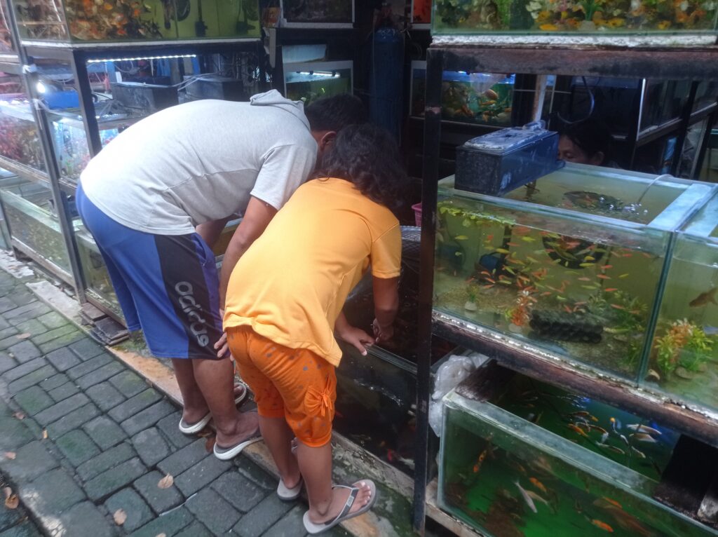 anak-anak memilih ikan di pasar pasty jogja 2024